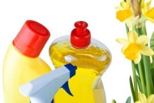 A group of cleaning products next to some daffodils to signify Spring cleaning. Isolated against white background.