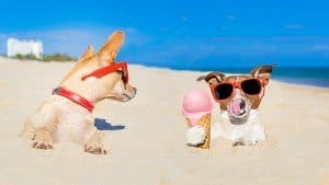 shutterstock_306534194